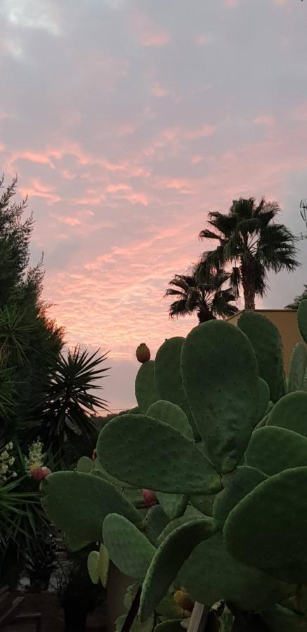 B&B Le Dune Beach San Leone Buitenkant foto